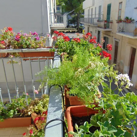 Nonna Carolina Dom wakacyjny