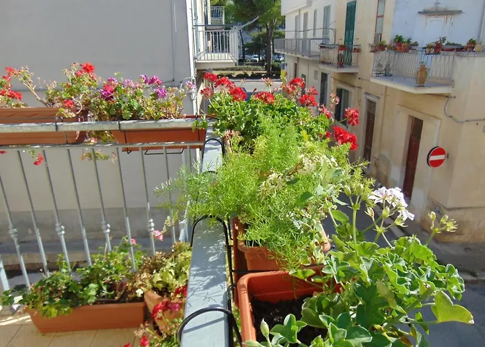 Nonna Carolina Tatil Evi